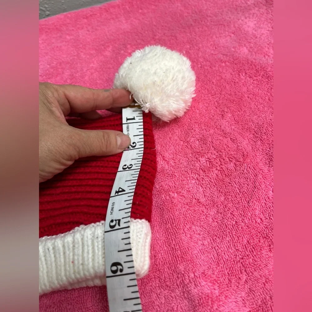 Red and White Dog Christmas Hat